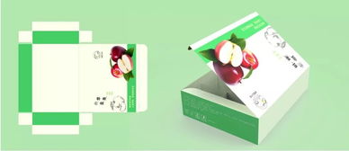 产品包装设计课程总结 从理念到落地的创意之旅